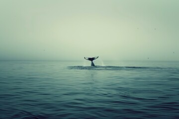 Naklejka premium Whale Tail Emerging from Ocean, Nature Wildlife Concept