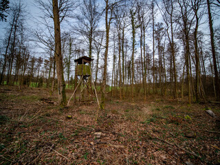 Hoch und Jägersitz im Wald