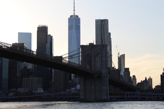 view of lower Manhattan, featuring the Brooklyn Bridge, World Trade Center, and Frank Gehry\'s 8 Spruce Street, seen from across the East River in Brooklyn.