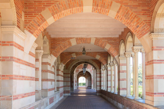 University of California, Los Angeles