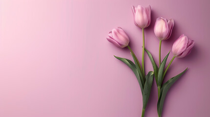 Happy international women day background. Pink tulips flower background for women day