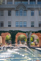 California institute of technology