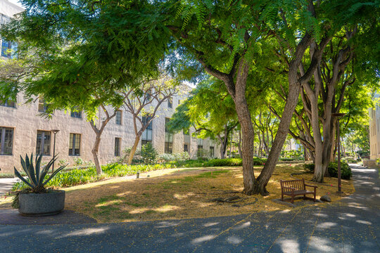 California institute of technology