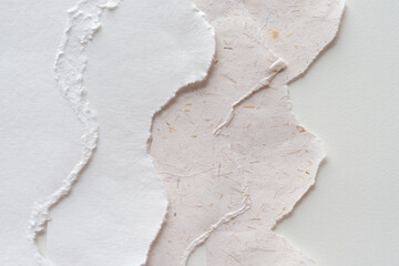 torn paper (in white and wheat) on blank paper