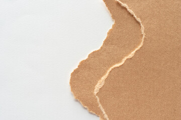 torn brown card with wavy edges and blank space