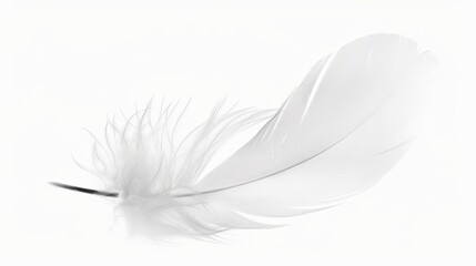 Single Feather Floating Gracefully on White Background with Side Angle.