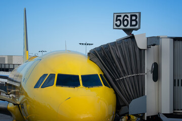 airplane at the airport
