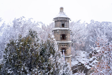 snow covered a chiness tower - obrazy, fototapety, plakaty