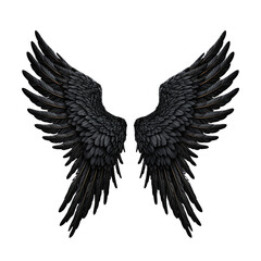 Black angle wings isolated on white or transparent background