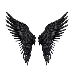 Black angle wings isolated on white or transparent background