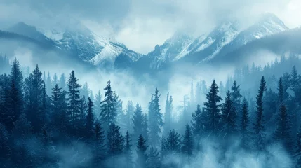 Poster Bleu Jeans Misty landscape of fir forest in Canada