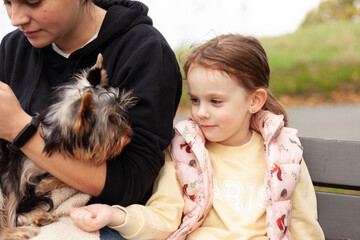 Little girl with her mother playing with Yorkshire Terrier in the park