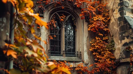 Deurstickers Autumn foliage with vintage window of Prague city in Czech Republic in Europe. © Joyce