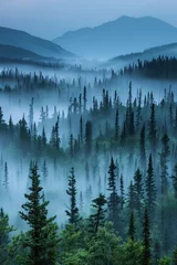 Papier Peint photo Forêt dans le brouillard Misty landscape of fir forest in Canada
