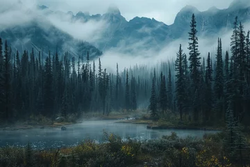 Schapenvacht deken met patroon Mistig bos Misty landscape of fir forest in Canada