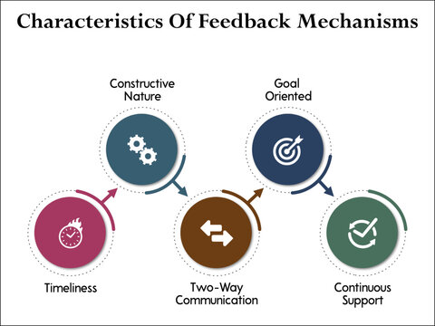 Characteristics of Feedback mechanisms. Infographic template with icons