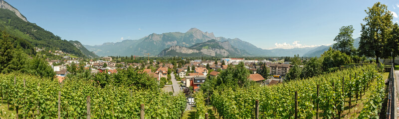 Fototapeta na wymiar Panorama vom Reebberg und dem Bergpanorama