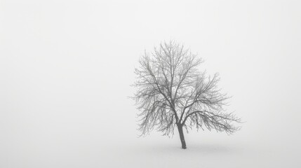 White Minimalist Background with Wide-Angle Lens AI Generated