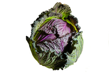 January King cabbage with transparent background