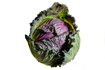 January King cabbage with transparent background