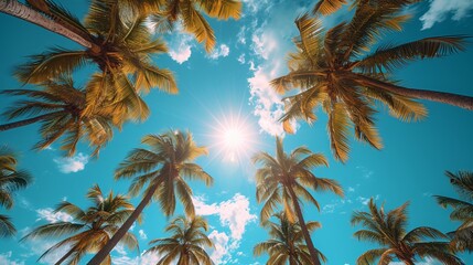 looking up a group of palm trees with the sun shining through the clouds