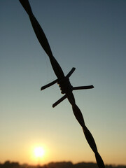Barbe Wire Sunset