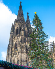 Kölner Dom mit Weihnachtsbaum, Köln, Nordrhein-Westfalen, Deutschland