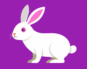Fototapeta premium rabbit bunny coney cony hare lagomorph lapin animal pet vector illustration cartoon pretty cute perfect beautiful amazing