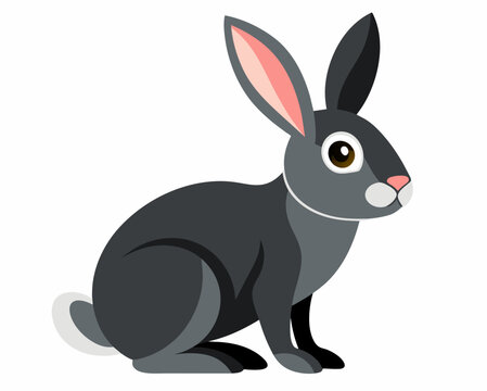 rabbit bunny coney cony hare lagomorph lapin animal pet vector illustration cartoon pretty cute perfect beautiful amazing