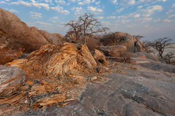Felslandschaft mit Bäumen und zerfallenem Baobab im Morgenlicht