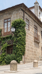 The tree wrapped around the old castle in Guimaraes, Portugal