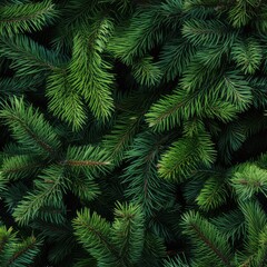 Fototapeta na wymiar Christmas Tree Background with Natural Colorado Blue Spruce Twigs, Lush Coniferous Pattern