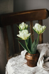 Beautiful white tulips in vintage vase on old wooden chair with  linen cloth composition. Spring countryside still life. Spring flowers in rustic moody room