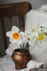 Stylish daffodils in vintage vase on old wooden chair with linen cloth.  Rustic still life. Countryside moody spring flowers composition. Easter floral banner
