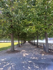 paseo  new york  en la isla 