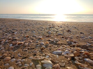 beach at sunset