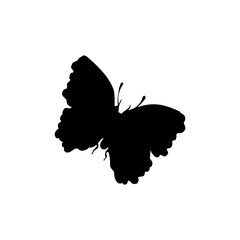 Black and white butterfly glyph
