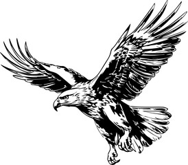 Naklejka premium eagle vector design, isolated background, hand drawn illustration style