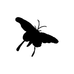 Black and white butterfly glyph