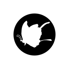 Transparent Butterfly icon