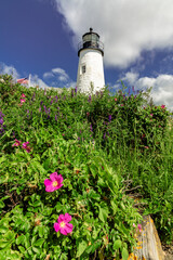 Pemaquid Point Lighthouse in Bristol Maine surrounded by lush green foliage and pink roses on a bright summer day dotted with puffy clouds