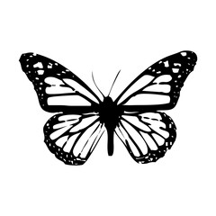 Transparent Butterfly icon