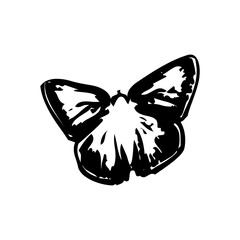Transparent Butterfly icon