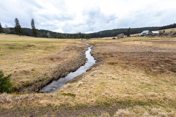 Unberührte Natur bei Schönwald im Schwarzwald
