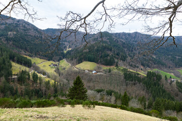 Blick vom Aussichtspunkt Simonswäldertal