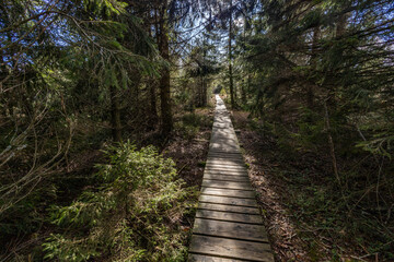 Steg zum Blindensee