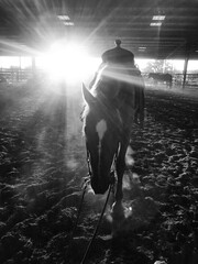 Western saddle on horse for riding concept in ranch indoor arena.