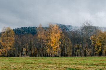 Jesienny górski krajobraz z oszronionymi drzewami - obrazy, fototapety, plakaty