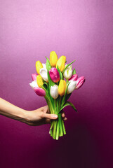 Bouquet of tulips in a hand on a deep purple background, blank space for a text