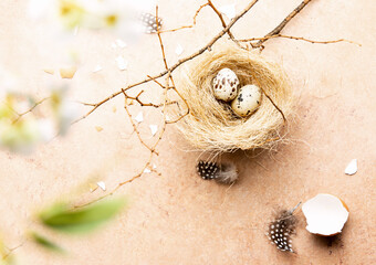 Easter spring time concept with a small nest on a tree branch